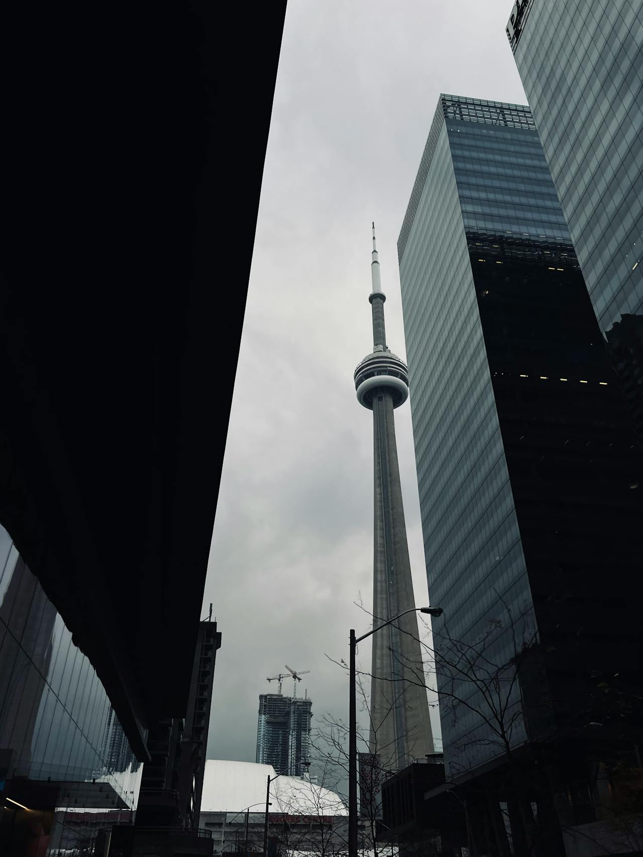 Canada startup visa program